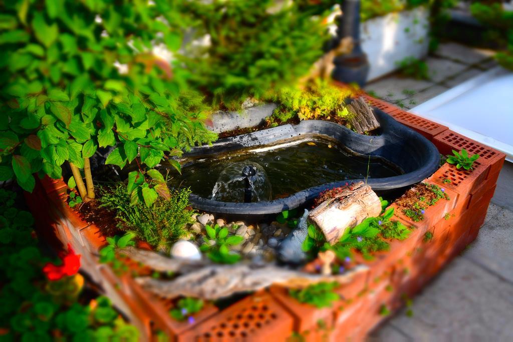 Bnb Haus Weibel Landquart Esterno foto